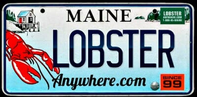 Mail Order Lobster