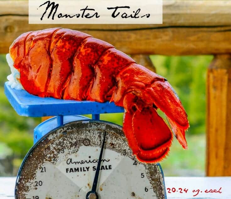 Monster tails 20-24 oz each