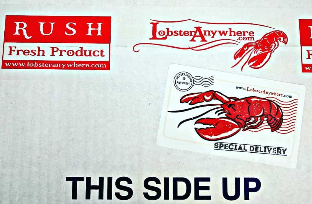 Overnight lobster shipped