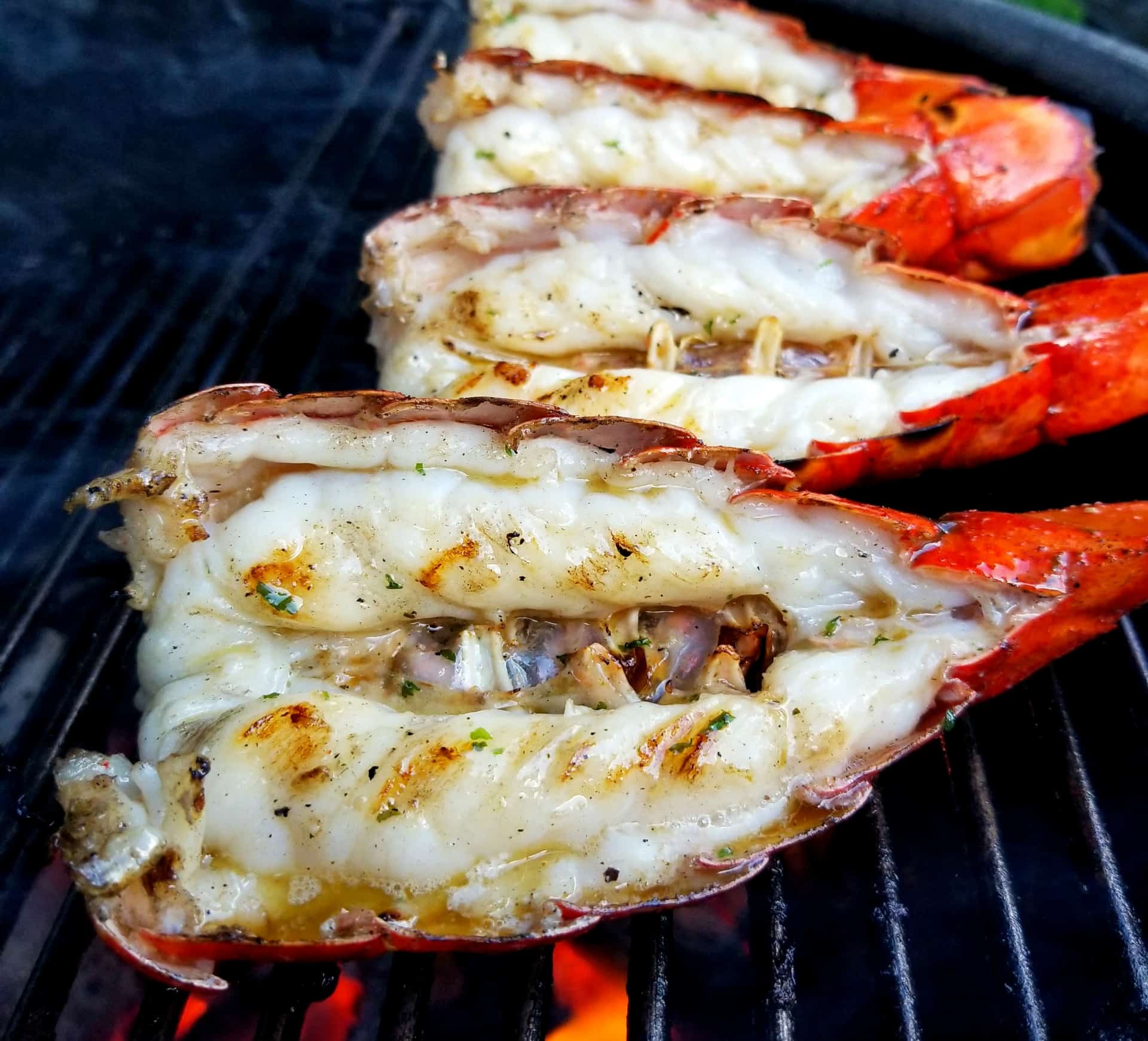 Order Lobster Tails Grill