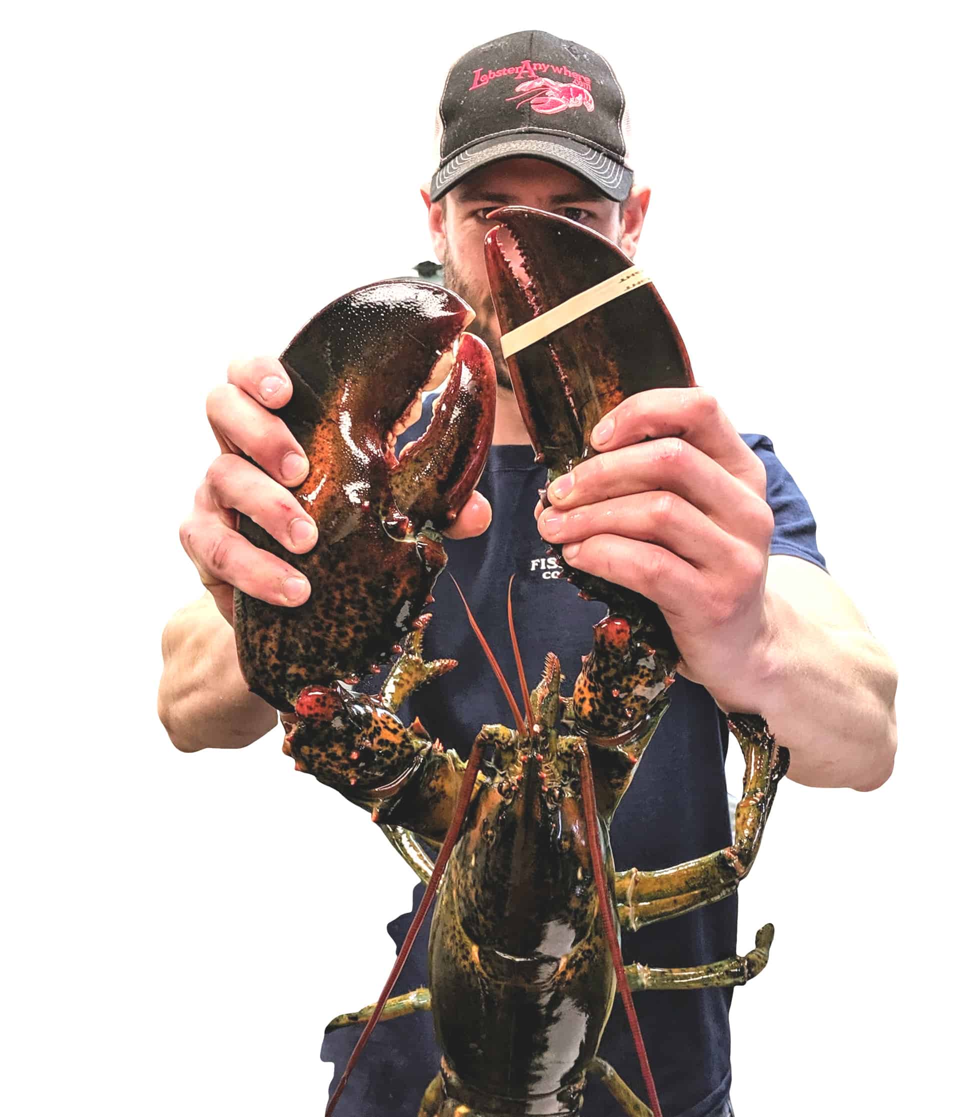 Selecting Lobsters