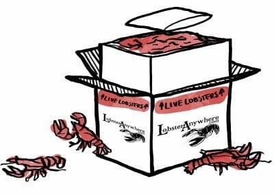 Live lobsters packed to order