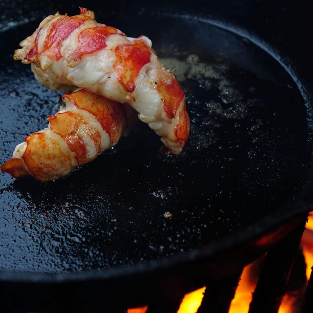 Shucked Lobster Tails
